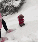 當(dāng)南方狗到了北方后...笑瘋了！