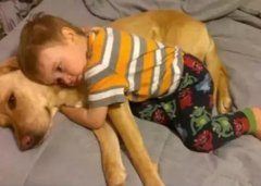 養(yǎng)狗千日，用在一時。。。。。