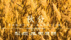 秋分丨晝夜分畫，漸入秋華