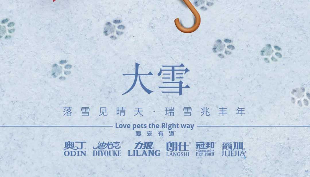 大雪丨雪落知寒意 久伴見初心！