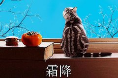 霜降丨縱然霜華盡染，心中美好如初