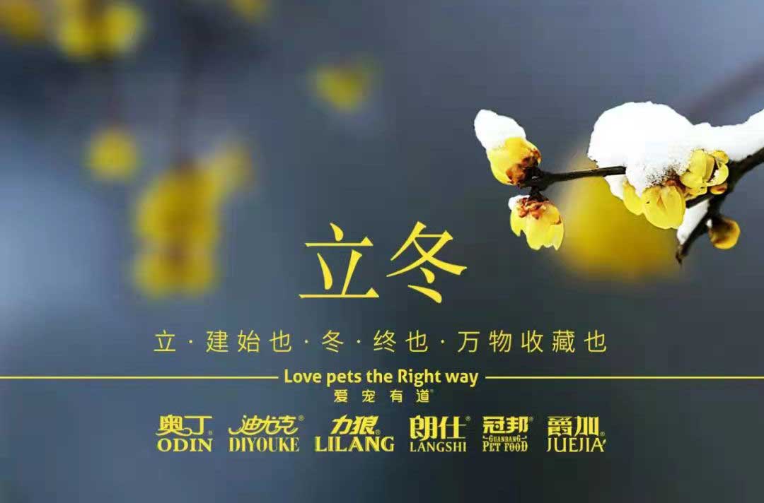 立冬丨冬寒初始，情暖愈濃